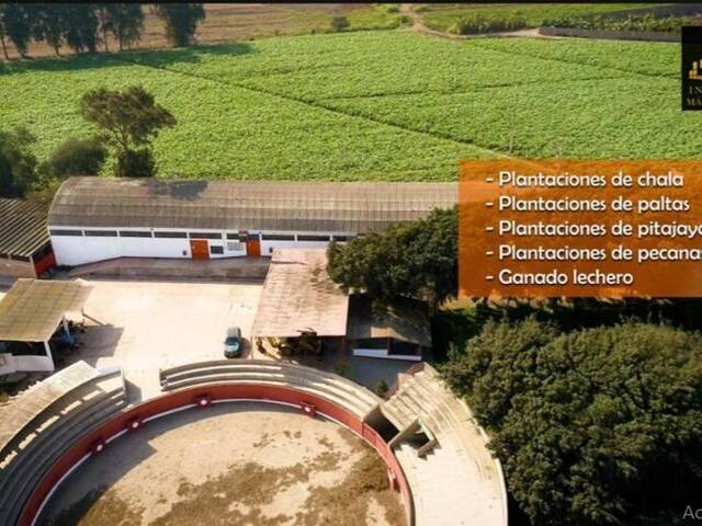 Área para Venta en Lima - 5