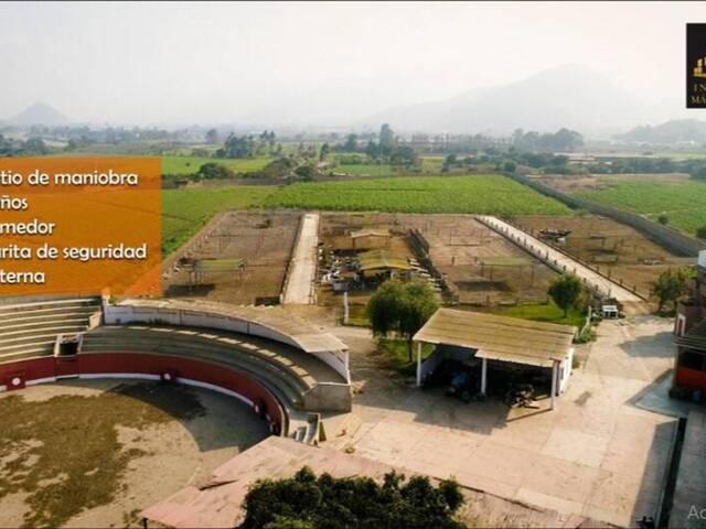 Área para Venta en Lima - 4