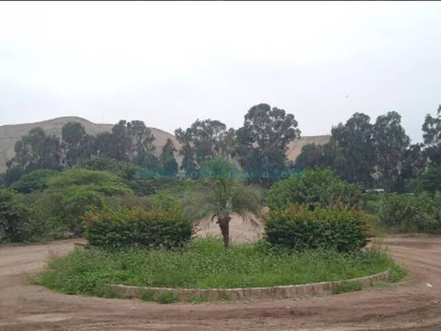 Área para Venta en Lima - 5