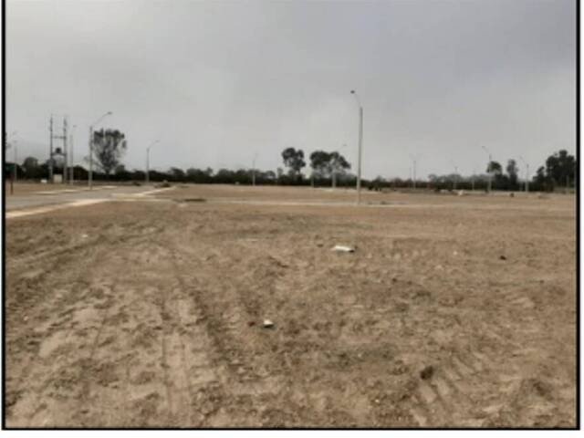 Área para Venta en Lima - 4